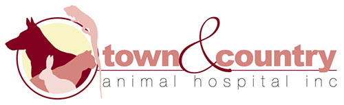Town & Country Animal Hospital