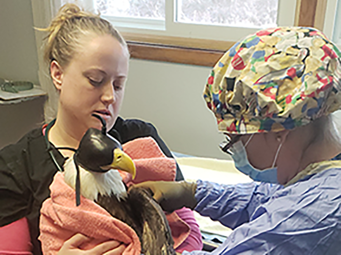 Town & Country Animal Hospital — clinic candid
