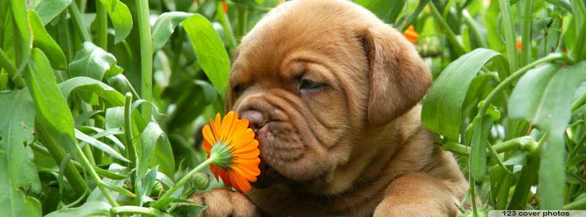 At Town & Country Animal Hospital in Charlotte, Michigan